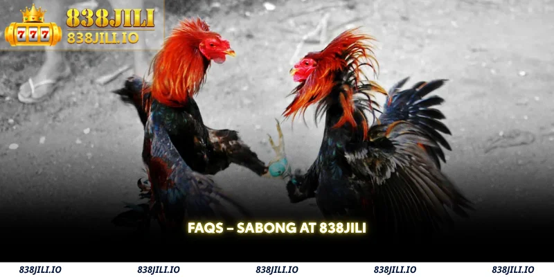 faqs sabong at 838jili
