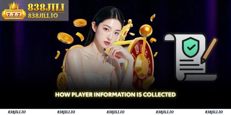 838JILI Privacy Policy – How We Protect Your Data 2 how player information is collected