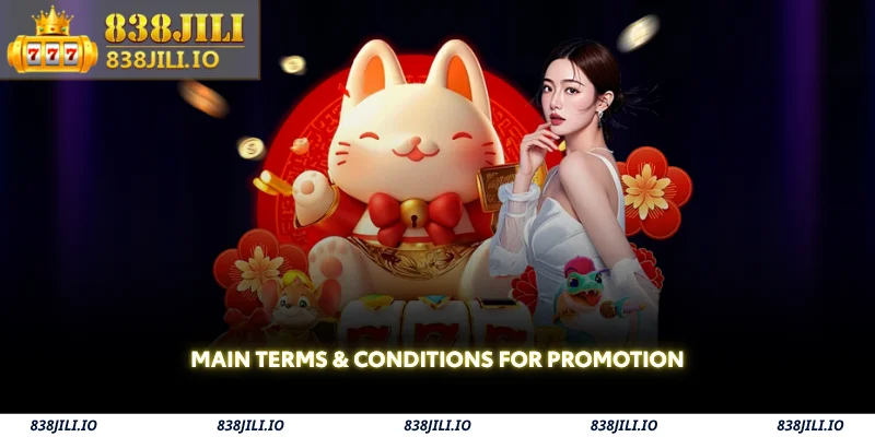 main terms & conditions for promotion
